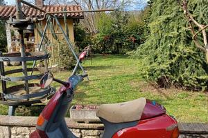 ricambi scooter paggio marmitta leo vince