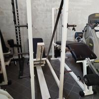 LEG PRESS 45 TECHNOGYM USATO