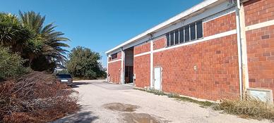 Capannone D7 fronte SS554 Selargius