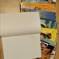 Set di quaderni scuola: 17 a righe e 2 a quadretti