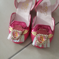 Scarpe della principessa Aurora