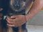 Immagine 2