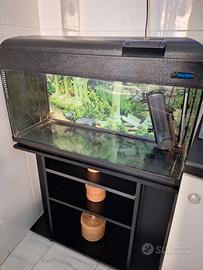 Acquario