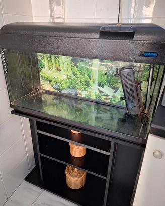 Acquario