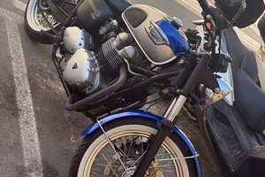 TRIUMPH T100