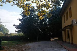 Appartamento di 45 m² con 2 locali a Zola Predosa