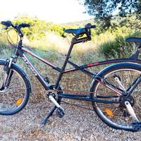 Tandem Atala Due Smart