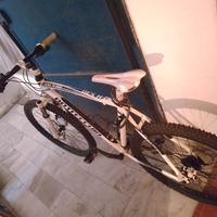 Bici Bottecchia FX 530