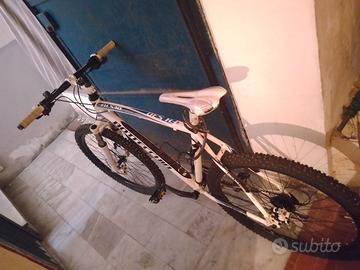 Bici Bottecchia FX 530