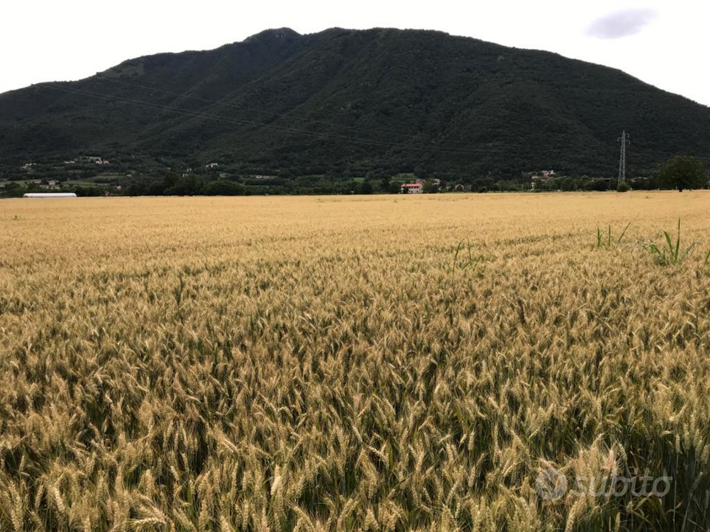 Ex proprietà conti Di Thiene - Vista 2