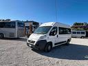 peugeot-boxer-minibus-trasporto-disabili