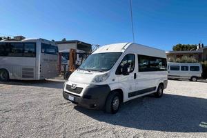 Peugeot Boxer Minibus Trasporto Disabili