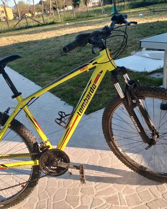 Biciclette Lombardo