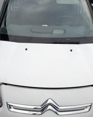 MUSATA COMPLETA CITROEN C3 PICASSO (2013)