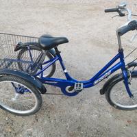 bici a 3 ruote