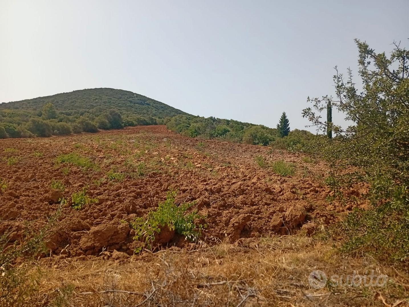 Terreno agricolo giba loc su solu - Vista 2