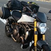 ducati monster 1200 2014 borse valigie laterali