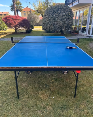 Tavolo da ping pong 
