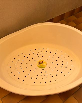 Cuccia per cani