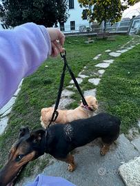 Guinzaglio da trekking