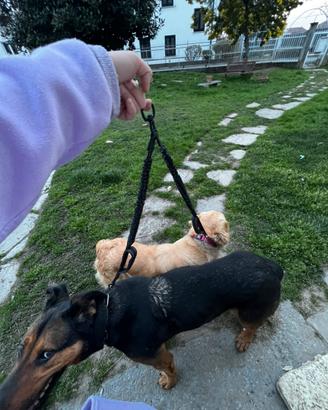 Guinzaglio da trekking