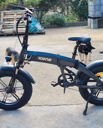 bici elettrica