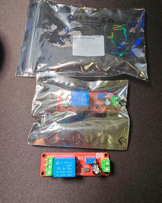 Modulo relè temporizzato 12v