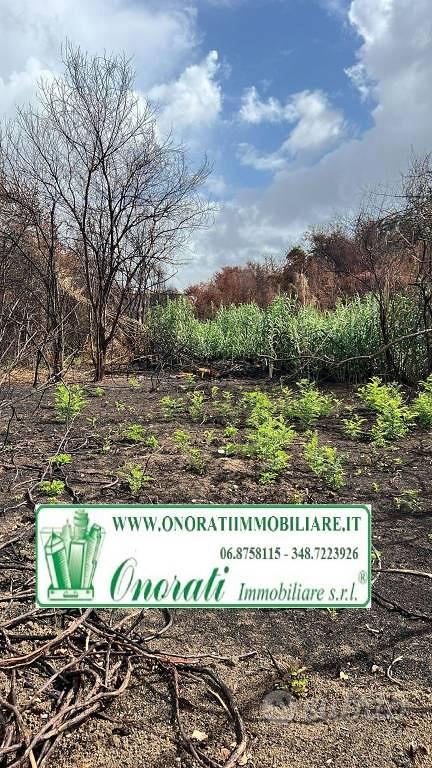 Terreno di 40000 m² a Roma - Vista 3
