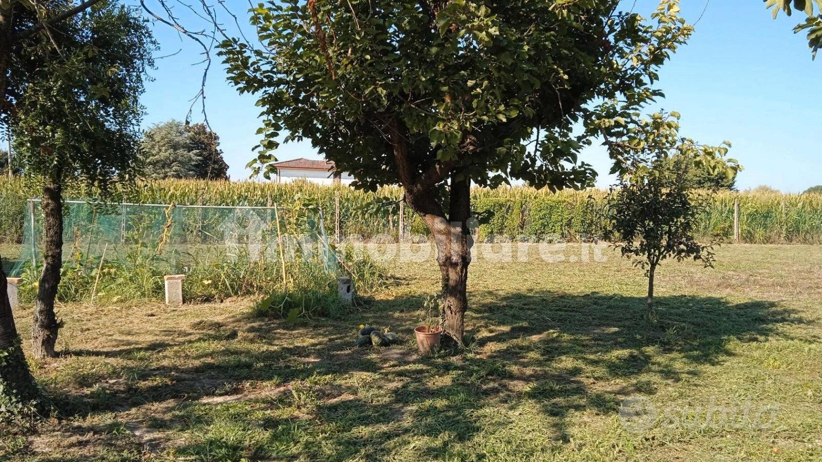 Terreni e rustici - Vista 2