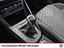 Immagine 17