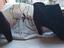 Immagine 3