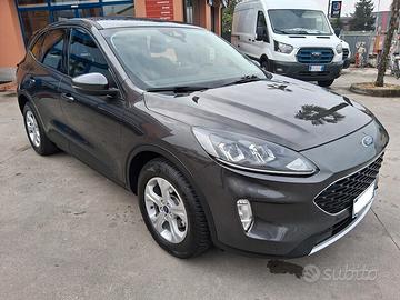 Ford Kuga 1.5 EcoBlue 120 CV aut. 2WD Connect (445