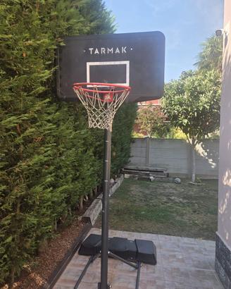canestro basket