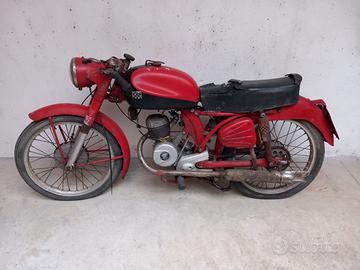 Benelli Leoncino Sport