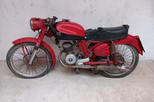 Benelli Leoncino Sport