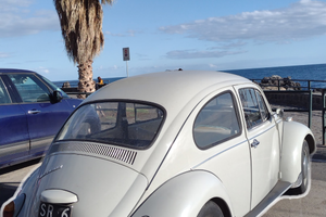 Maggiolino Volkswagen 69