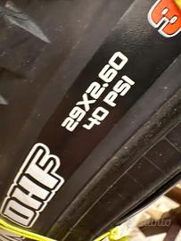 2 Gomme Maxxis 29 EBIKE / Minion DHF + Dissector