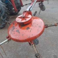 Giroandanatore fiorini