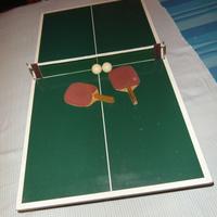 Mini tavolo ping-pong