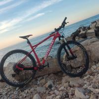 bicicletta MTB carbonio bottecchia Ortles 297+