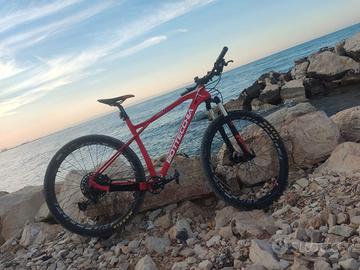 bicicletta MTB carbonio bottecchia Ortles 297+