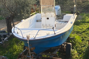 Barca open 5mt Honda 40 4t