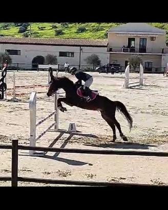 V E N D E S I Cavallo