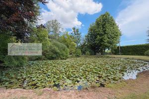 Azienda agricola vivaistica fronte Sile