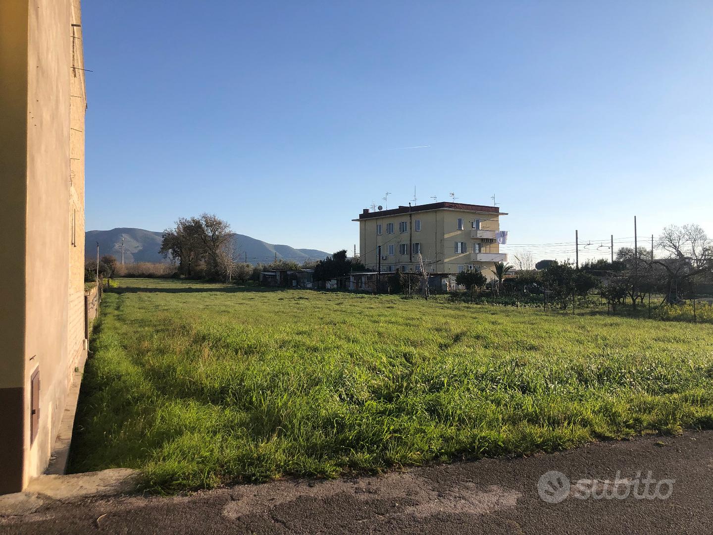Terreno agricolo Cellole (CE) - Vista 4