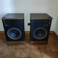 COPPIA DI DIFFUSORI BOSE 501 Serie III