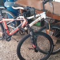 due biciclette 24