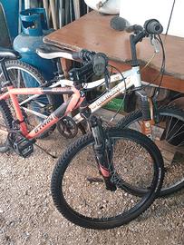 due biciclette 24