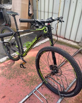 CANNODALE F-Si 3 - Taglia L - Perfetta