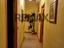 Immagine 11